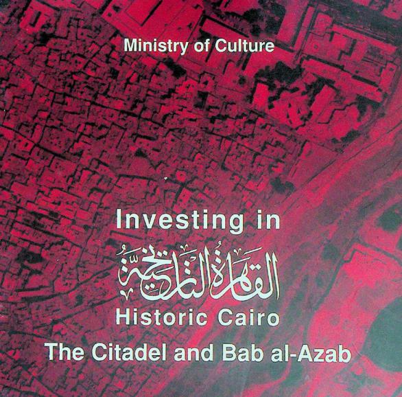 Investing in historic Cairo : the citadel and Bab al-Azab