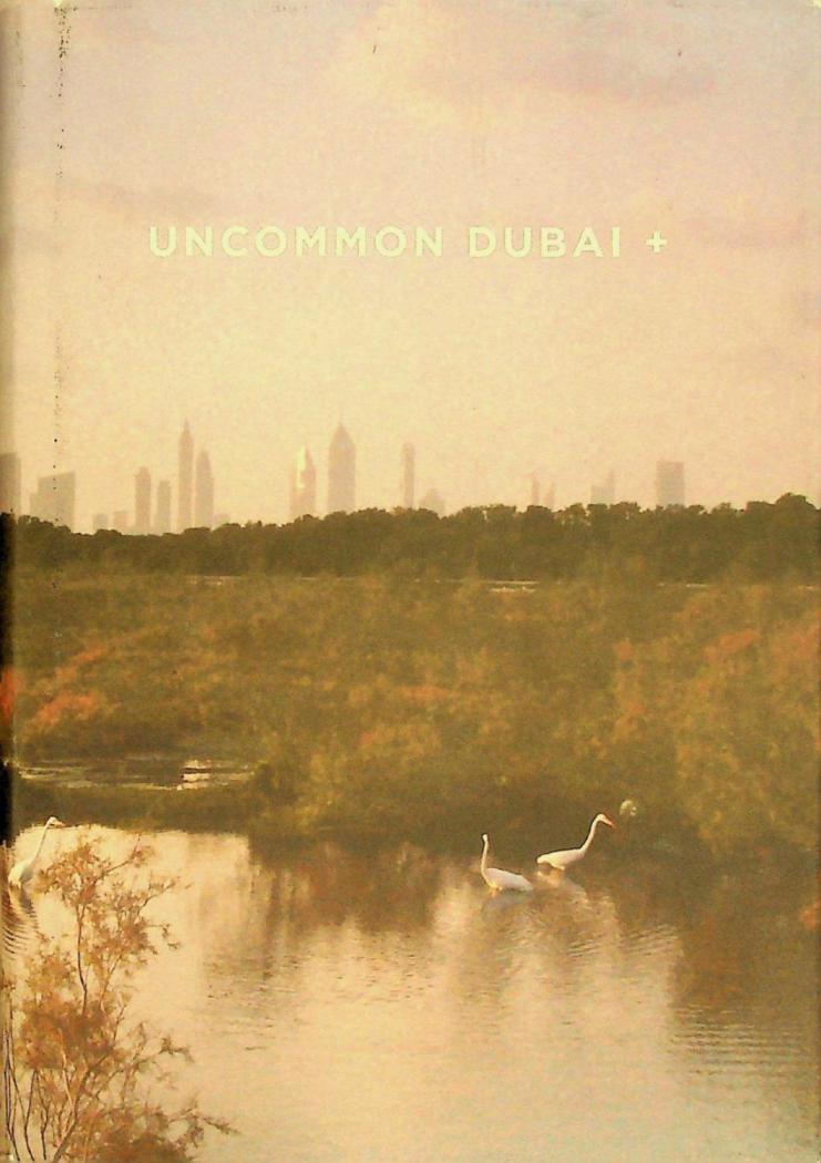 Uncommon Dubai +